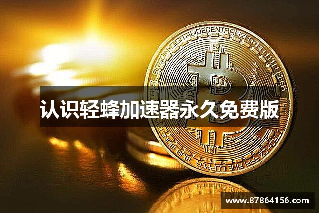 认识轻蜂加速器永久免费版